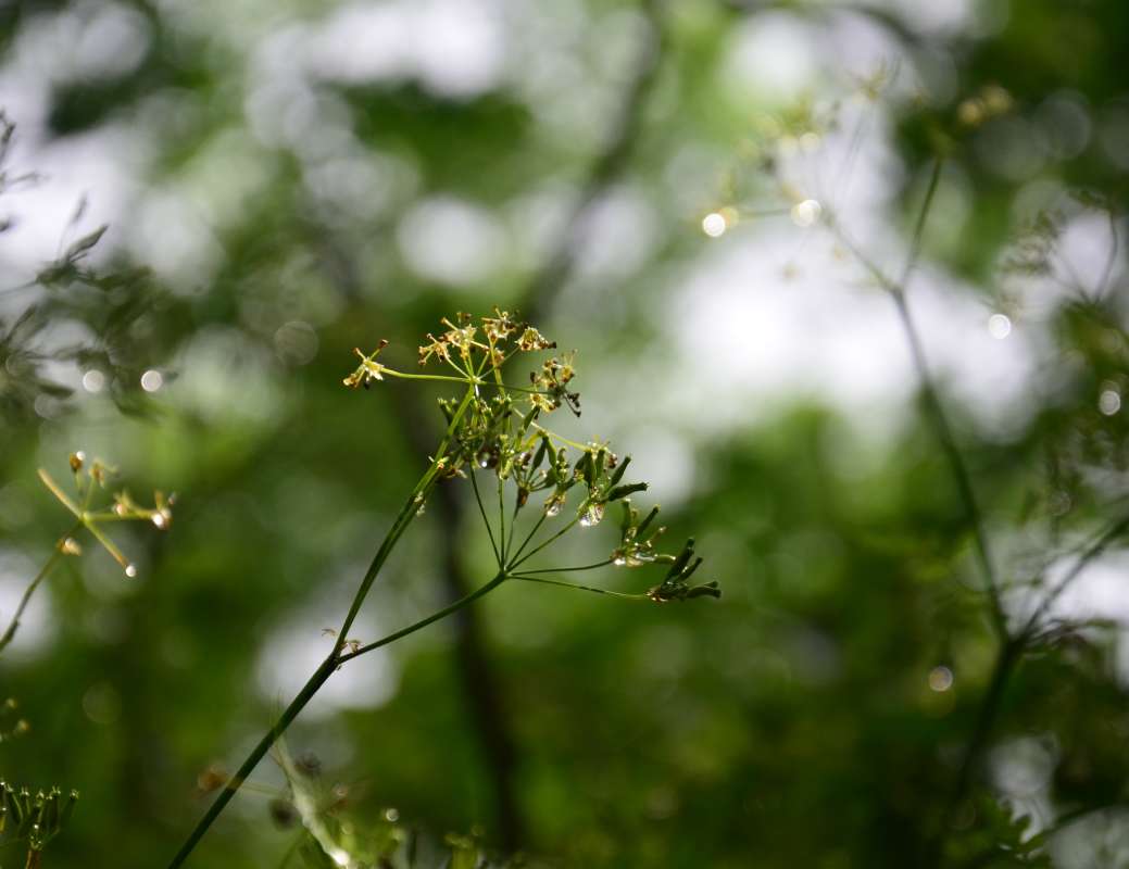 ����� ������ ����� ����  �� PhotoGeek.ru #������ ��� ������� #����� �������������� #���������