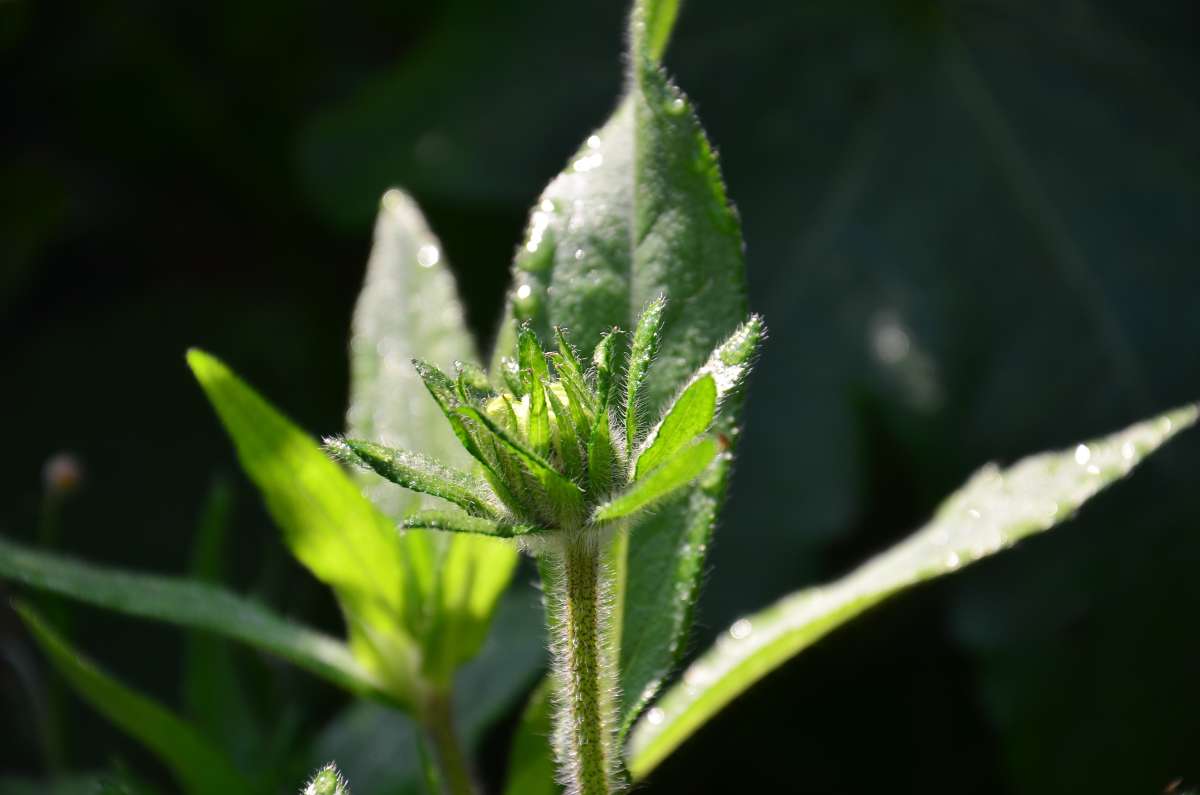 ... ����� ����  �� PhotoGeek.ru #����� #������ ��� ������� #����� ��������������