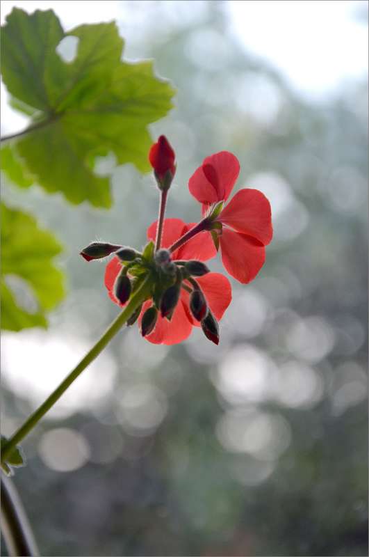 ... ����� ����  �� PhotoGeek.ru #������ ��� ������� #����� �������������� #���������