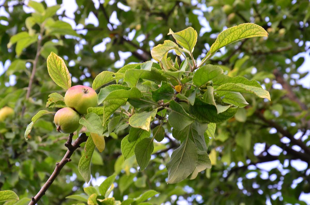 ����� ����� ����  �� PhotoGeek.ru #������ ��� ������� #����� �������������� #���������