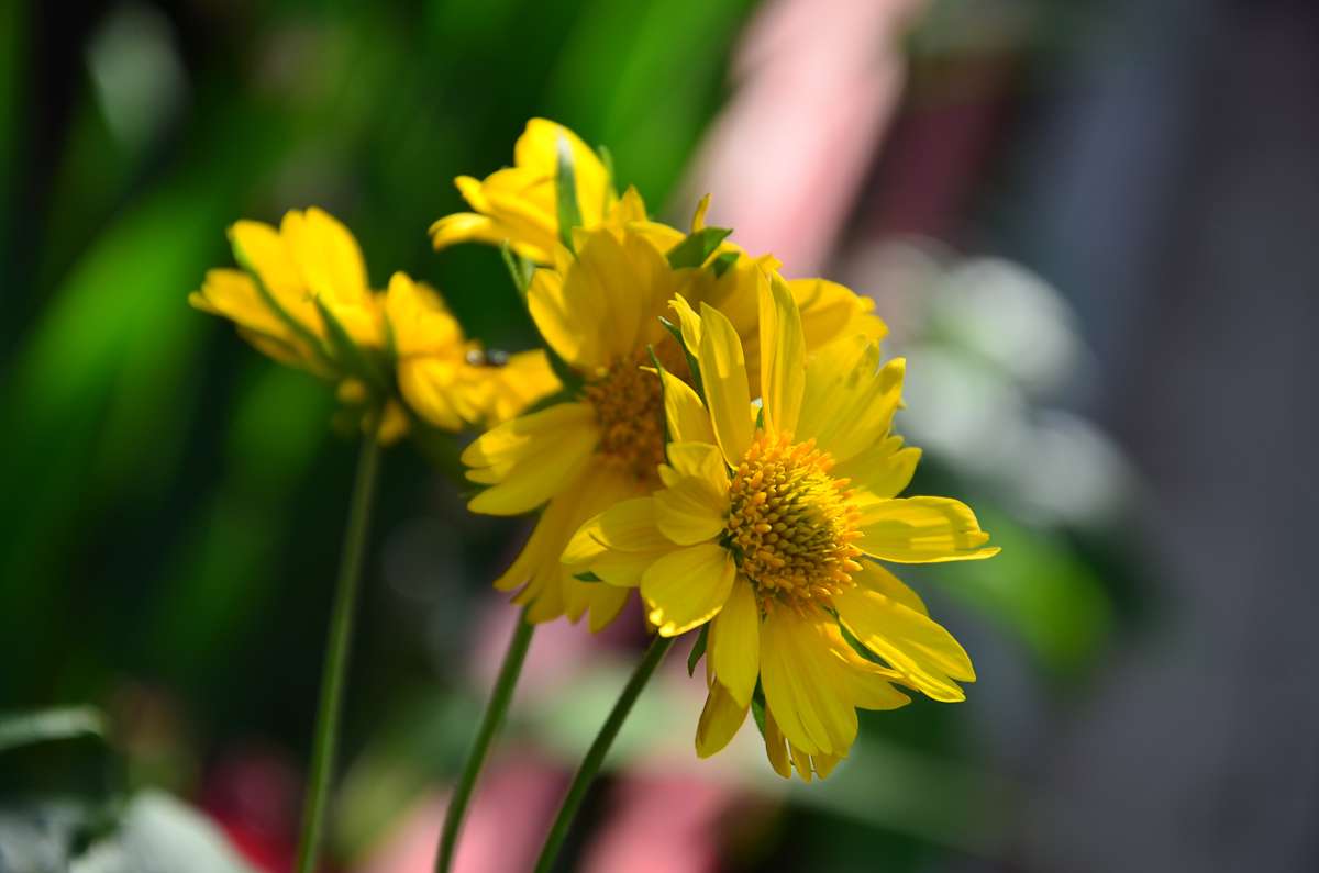 ... ����� ����  �� PhotoGeek.ru #����� #������ ��� ������� #����� ��������������