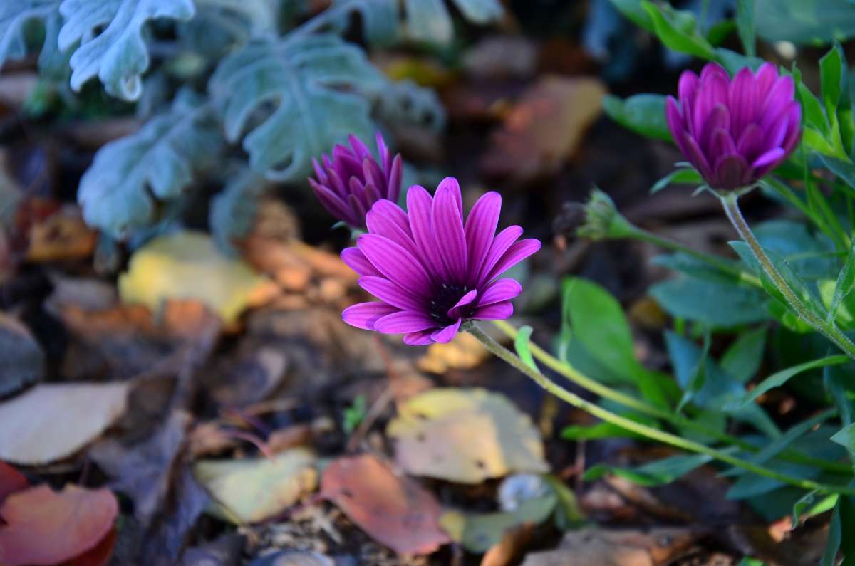 ... ����� ����  �� PhotoGeek.ru #������ ��� ������� #����� �������������� #���������