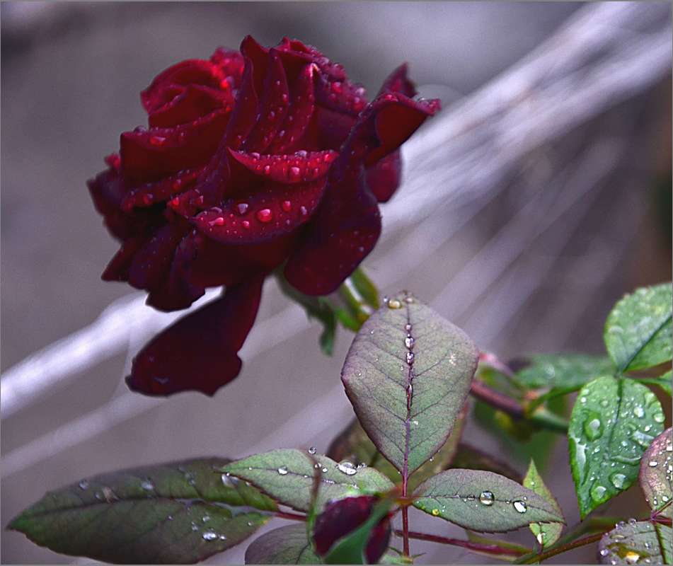 � ����� ����� ����  �� PhotoGeek.ru #������ ��� ������� #����� �������������� #���������