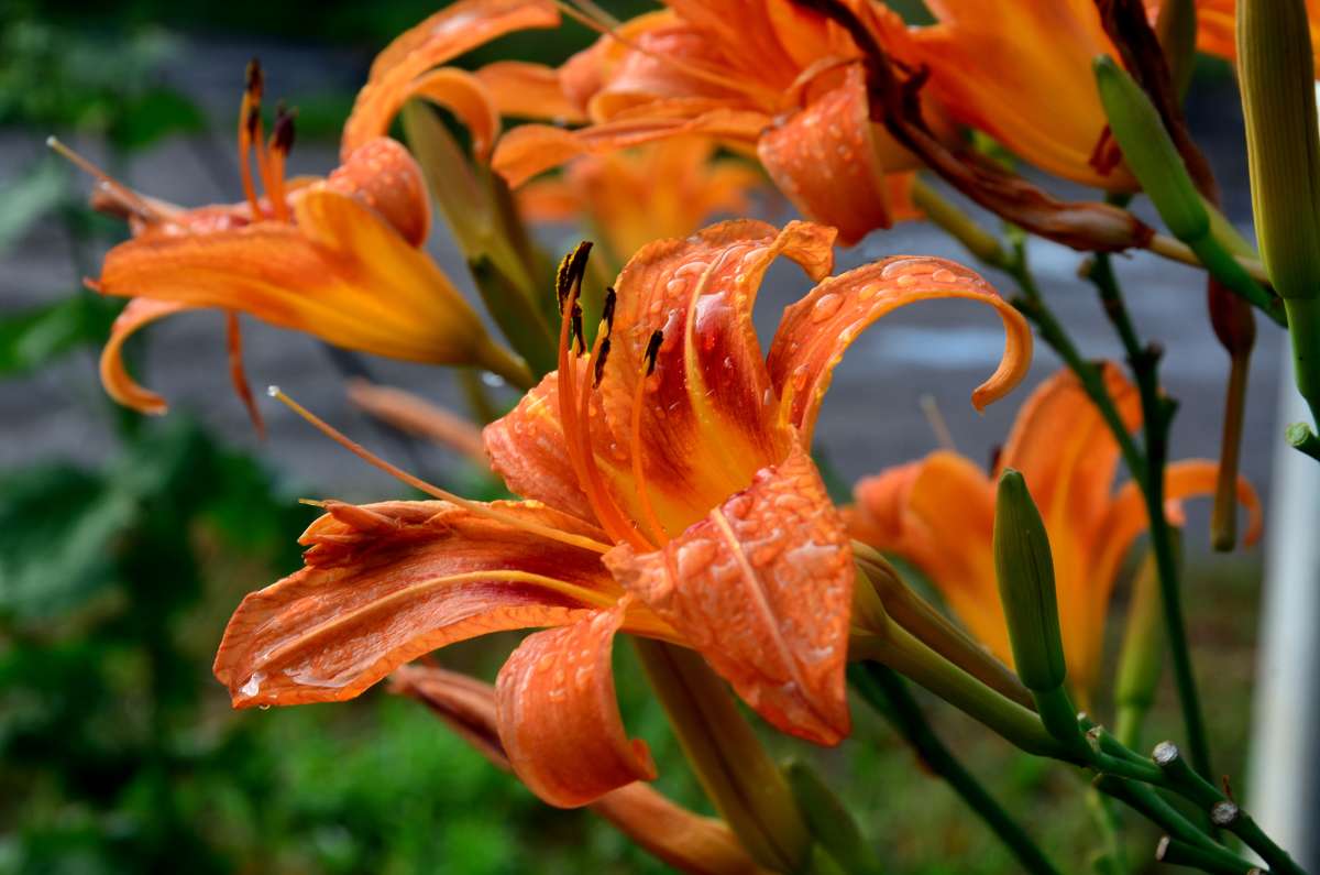 ����� � ������� ����� ����  �� PhotoGeek.ru #������ ��� ������� #����� �������������� #���������