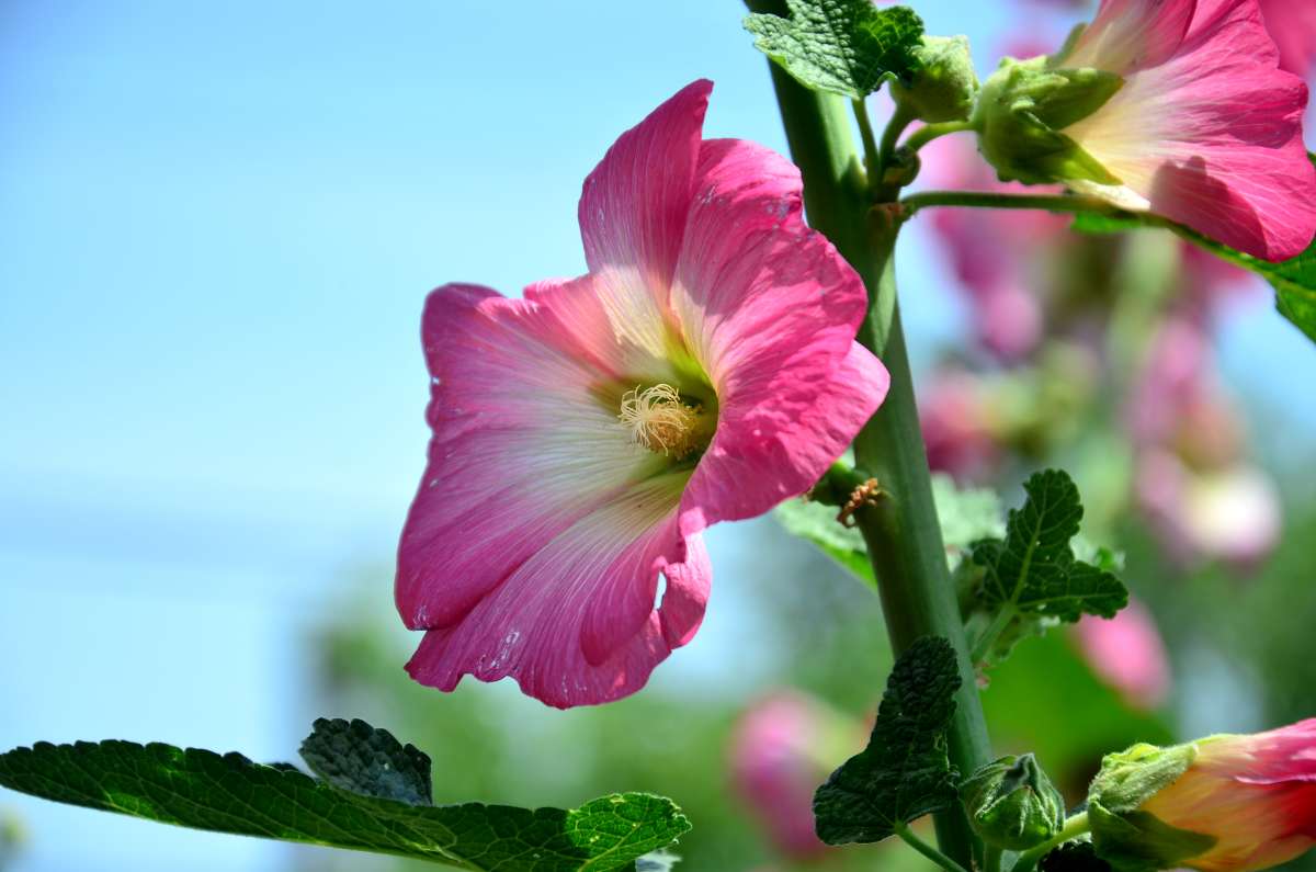 ������� ���� ����� ����  �� PhotoGeek.ru #����� #������ ��� ������� #����� �������������� #���������