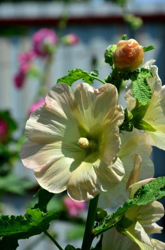 ������ ���� ����� ����  �� PhotoGeek.ru #������ ��� ������� #����� �������������� #���������