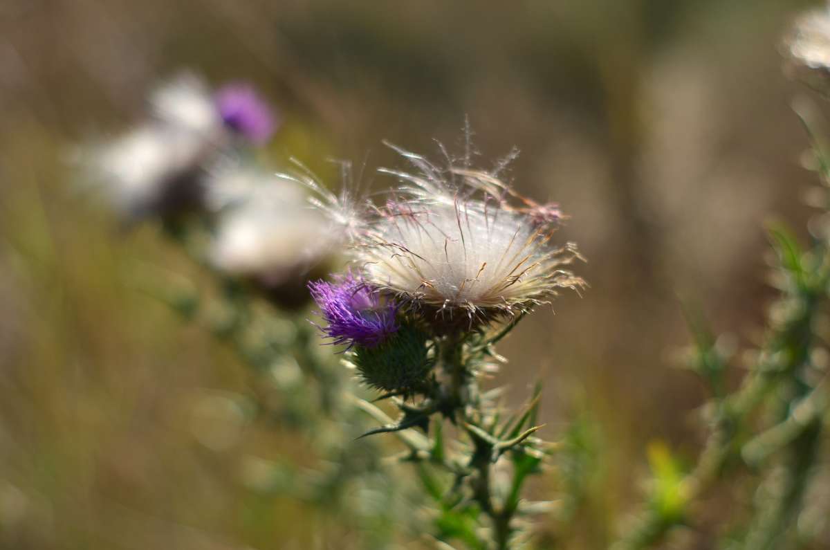 ... ����� ����  �� PhotoGeek.ru #������ ��� ������� #���������