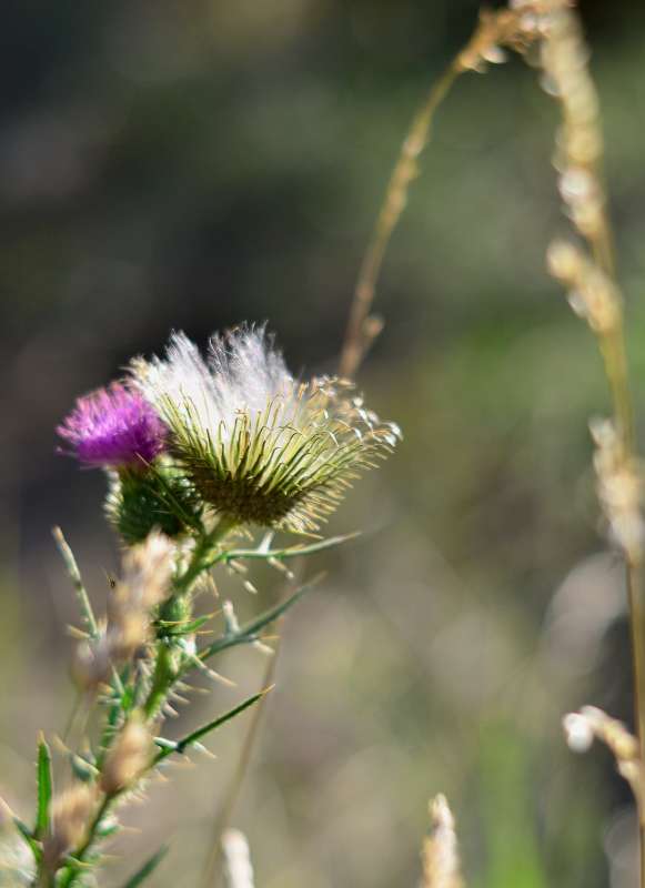 ... ����� ����  �� PhotoGeek.ru #����� #������ ��� ������� #����� �������������� #���������