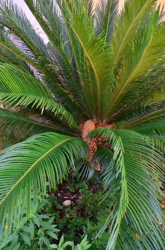 �������� ����� ����  �� PhotoGeek.ru #������ ��� ������� #����� �������������� #���������