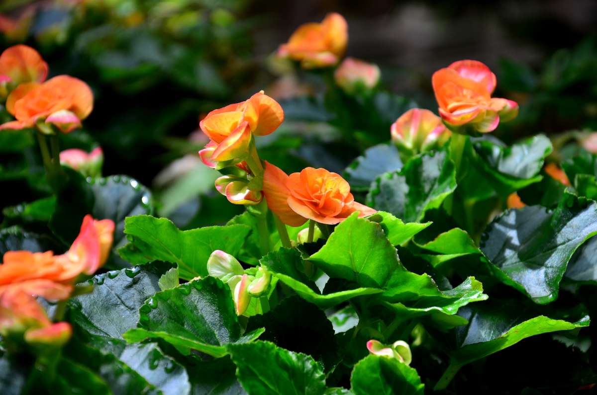 ... ����� ����  �� PhotoGeek.ru #������ ��� ������� #����� �������������� #���������