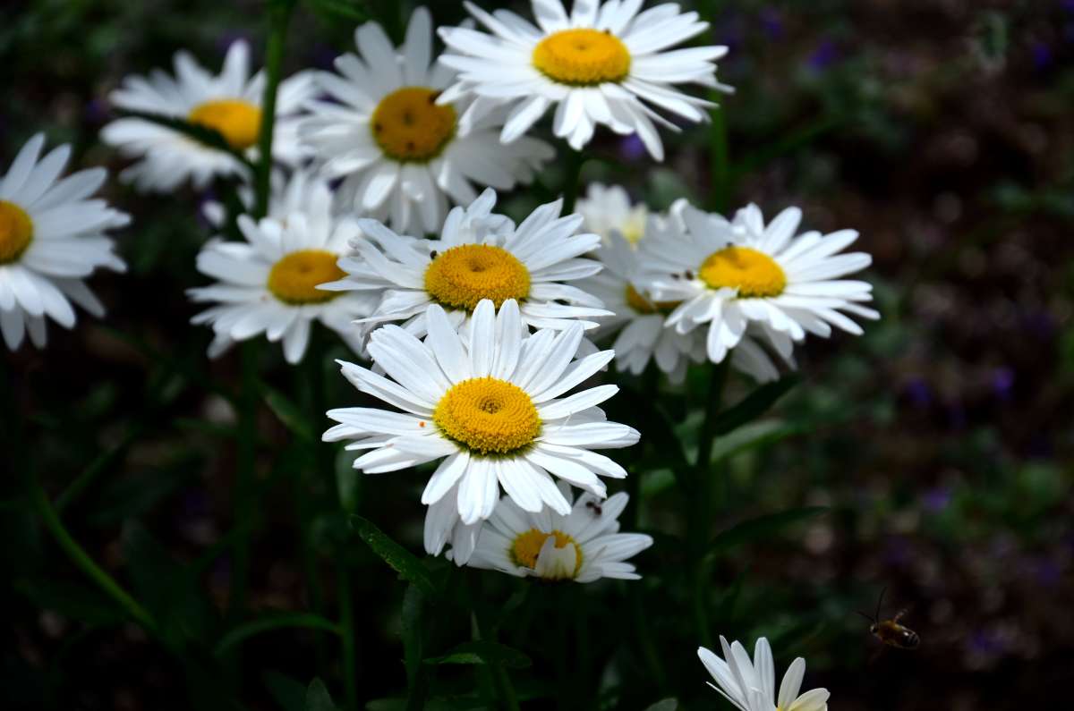 ... ����� ����  �� PhotoGeek.ru #������ ��� ������� #����� �������������� #���������