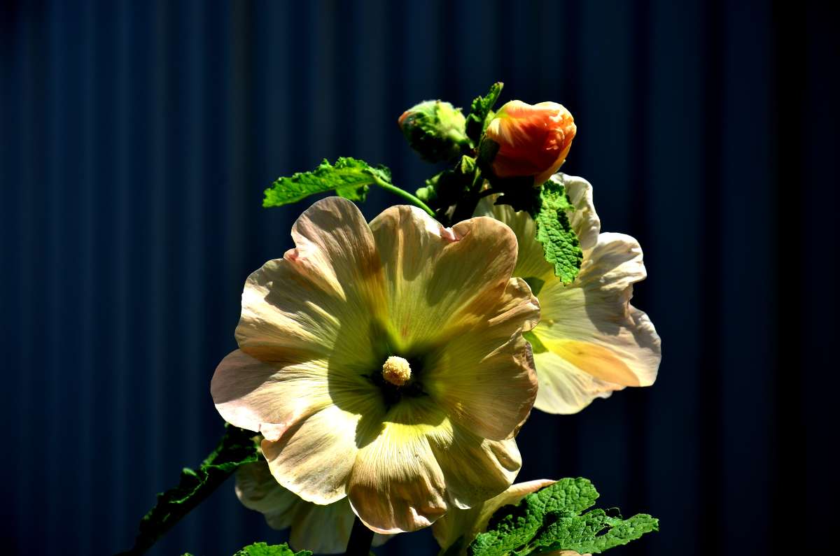 ��� ���� ����� ����  �� PhotoGeek.ru #������ ��� ������� #����� �������������� #���������