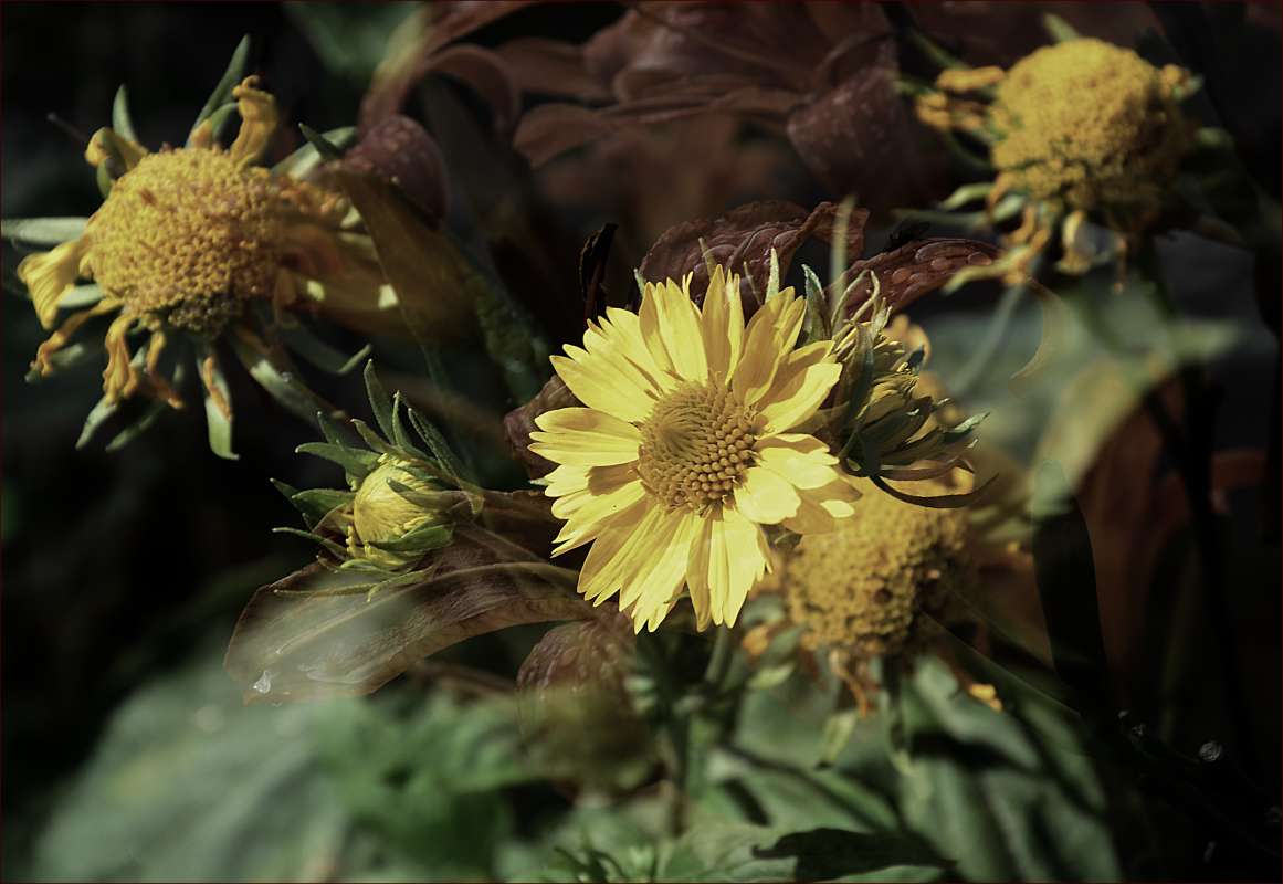 ... ����� ����  �� PhotoGeek.ru #������ ��� ������� #����� �������������� #���������