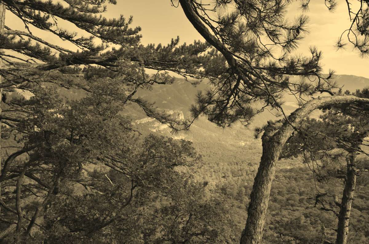 ����� ����� ����� ����  �� PhotoGeek.ru #������ ��� ������� #����� ��������������