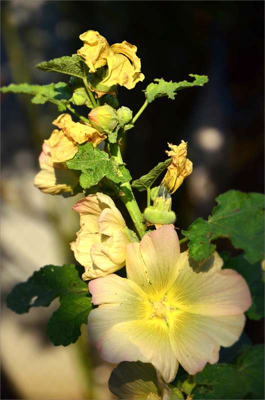 ... ����� ����  �� PhotoGeek.ru #������ ��� ������� #����� �������������� #���������