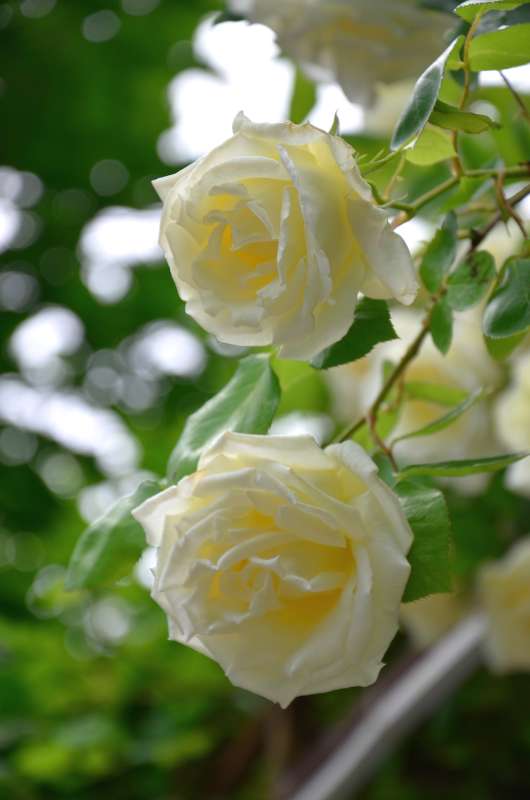 � ����� ����� ����  �� PhotoGeek.ru #������ ��� ������� #����� �������������� #���������