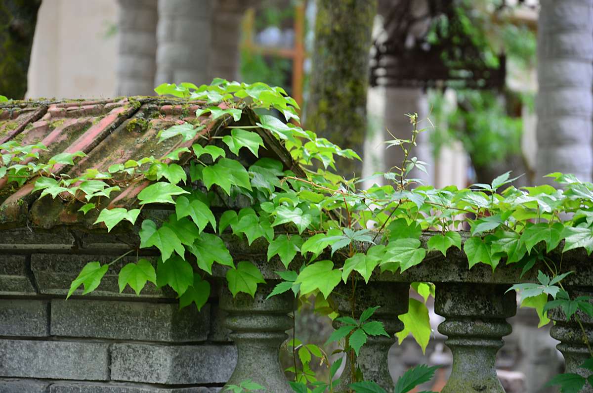 ... ����� ����  �� PhotoGeek.ru #������ ��� ������� #����� �������������� #���������