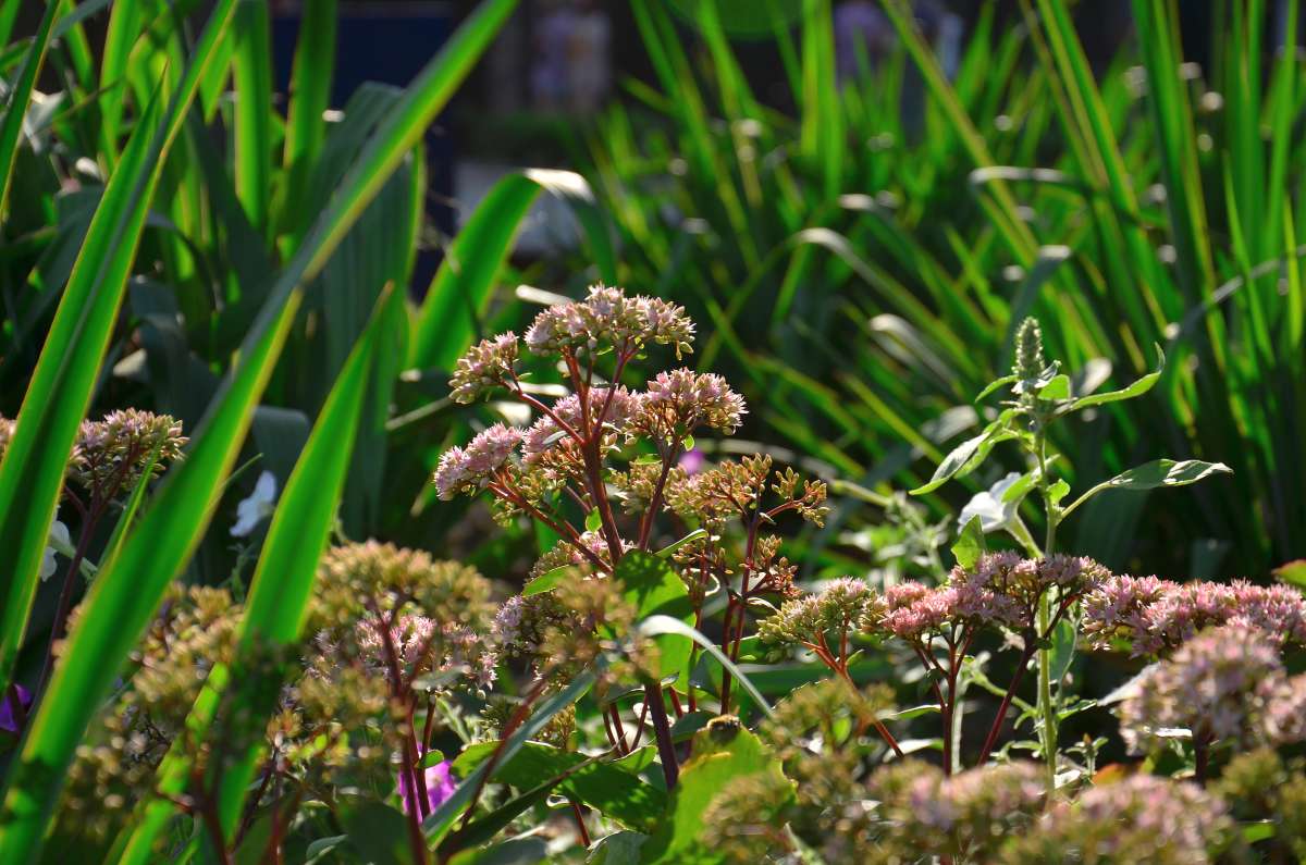 ... ����� ����  �� PhotoGeek.ru #������ ��� ������� #����� �������������� #���������