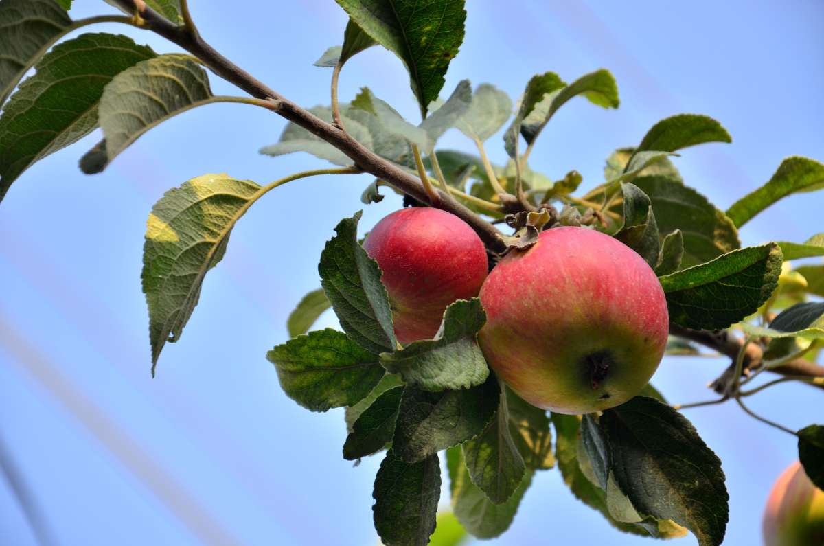 ... ����� ����  �� PhotoGeek.ru #������ ��� ������� #����� �������������� #���������