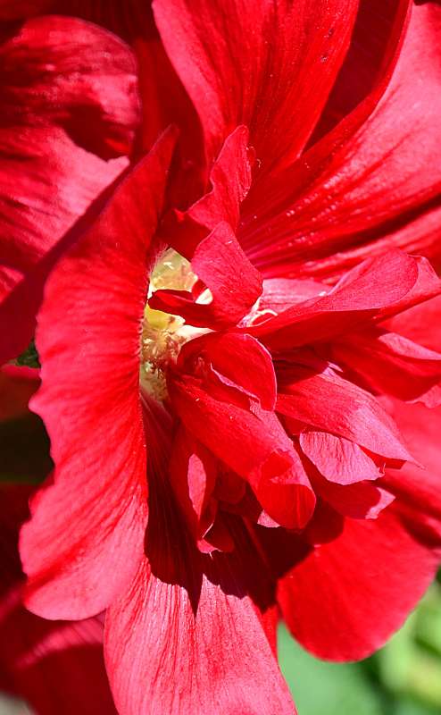 ... ����� ����  �� PhotoGeek.ru #����� #������ ��� ������� #����� �������������� #���������