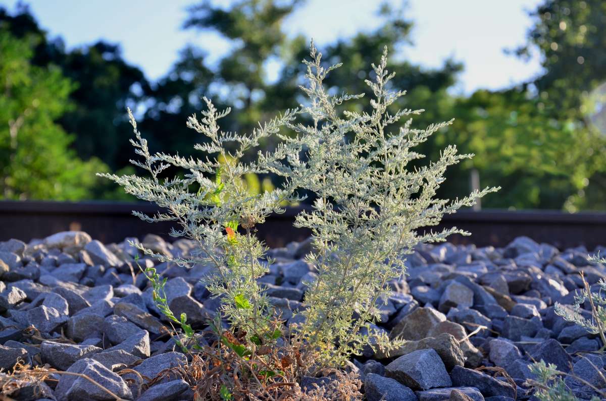 ... ����� ����  �� PhotoGeek.ru #������ ��� ������� #����� �������������� #���������