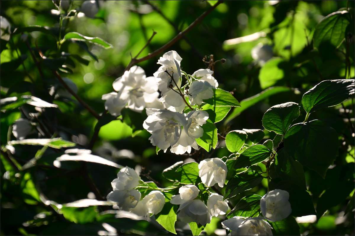 ... ����� ����  �� PhotoGeek.ru #������ ��� ������� #����� �������������� #���������