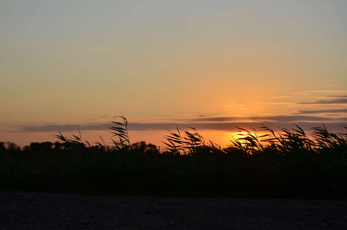 ... ����� ����  �� PhotoGeek.ru #������ ��� ������� #���������