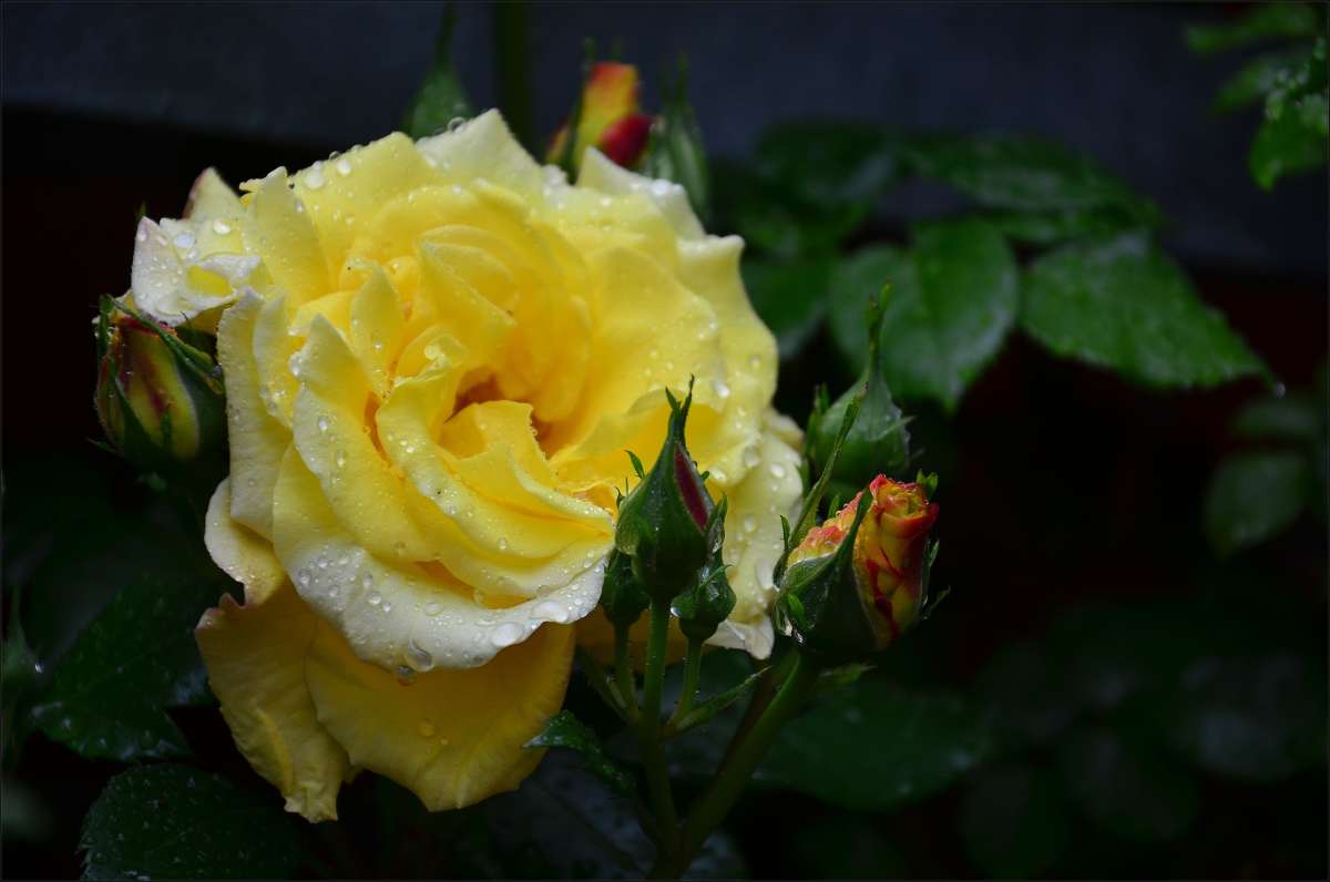 � ����� ����� ����  �� PhotoGeek.ru #������ ��� ������� #����� �������������� #���������