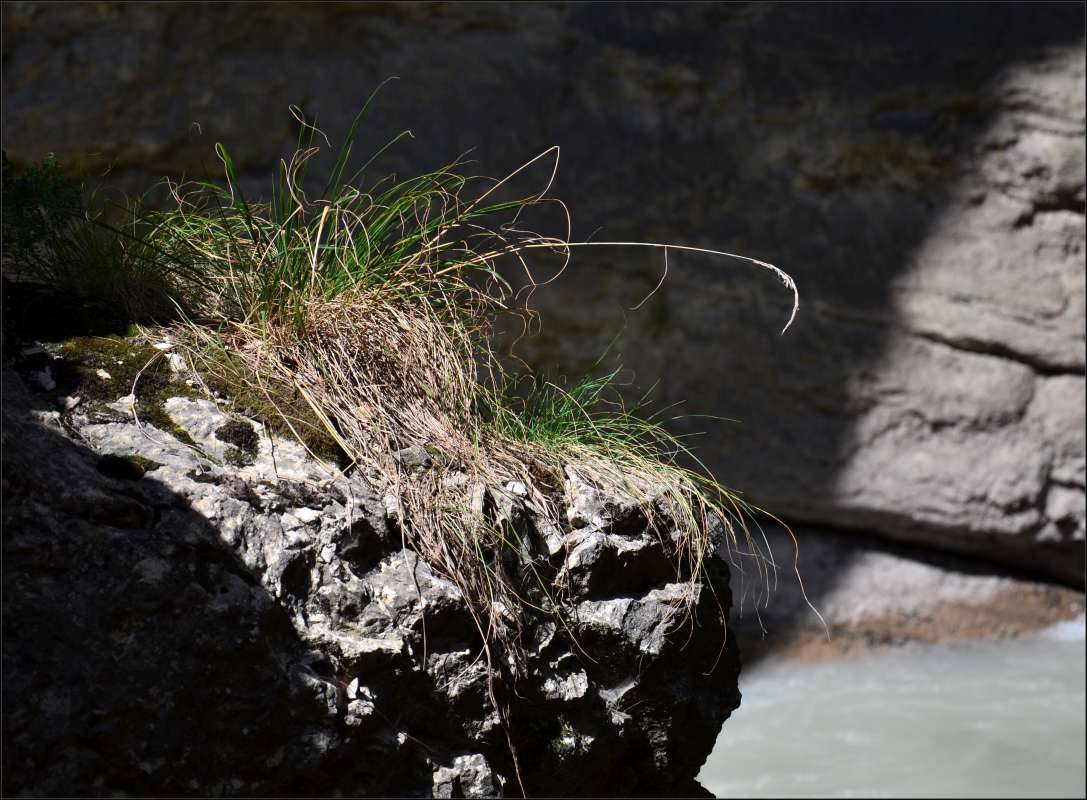 ... ����� ����  �� PhotoGeek.ru #������ ��� ������� #���������