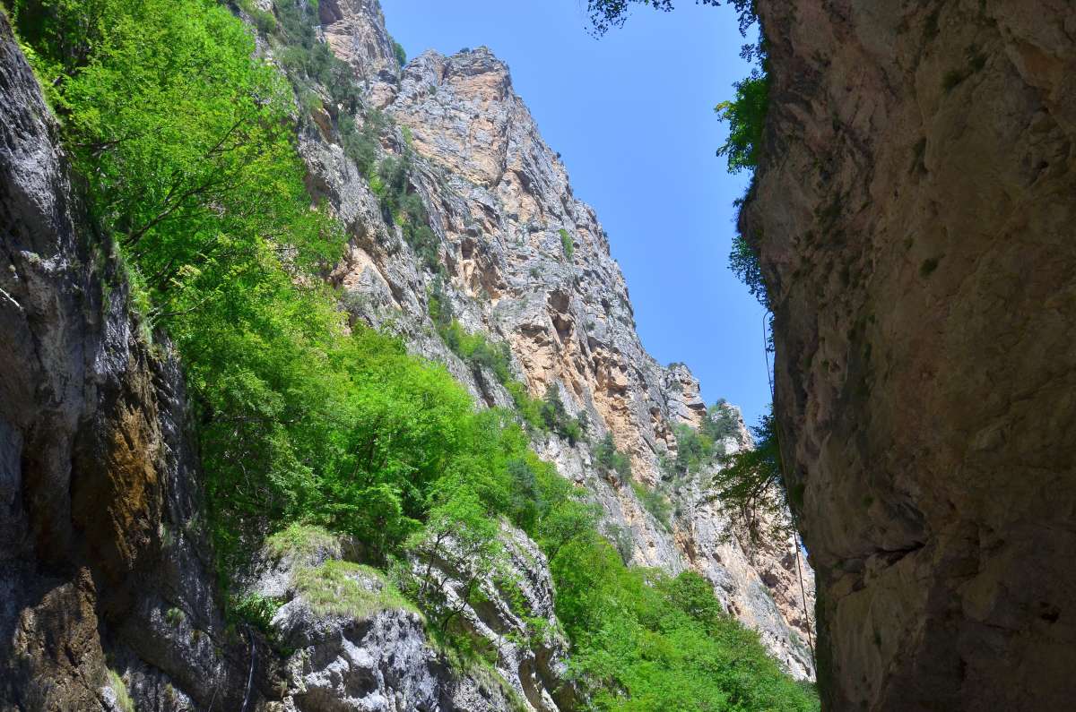 ��������� ������ ����� ����  �� PhotoGeek.ru #������ ��� �������