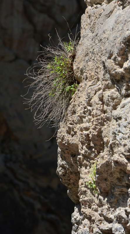 ... ����� ����  �� PhotoGeek.ru #������ ��� ������� #���������