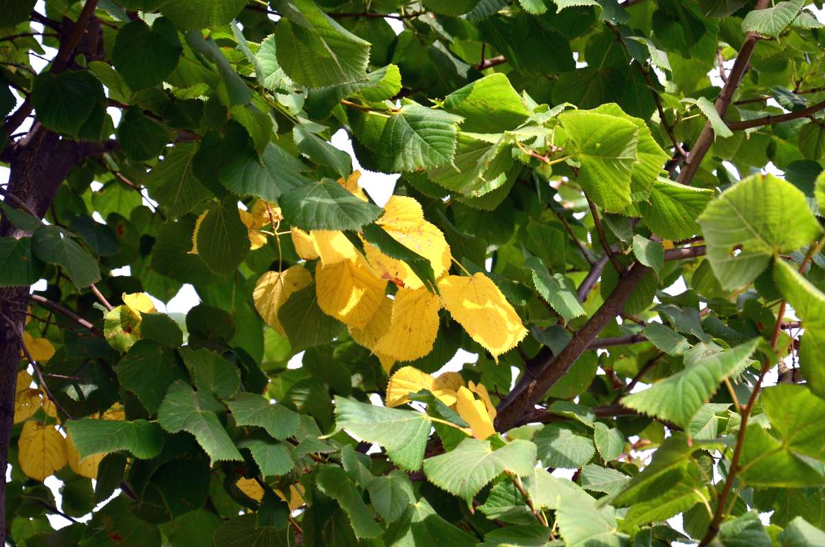 � �������� ����� ����  �� PhotoGeek.ru #������ ��� ������� #����� �������������� #���������