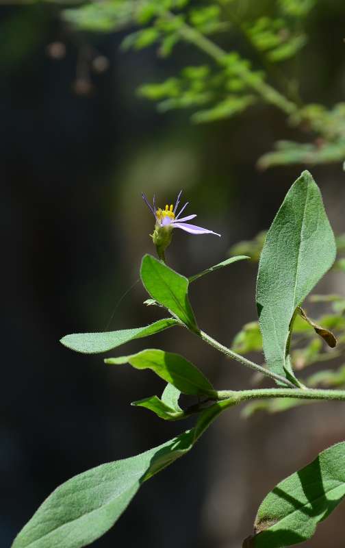 ... ����� ����  �� PhotoGeek.ru #������ ��� ������� #����� �������������� #���������