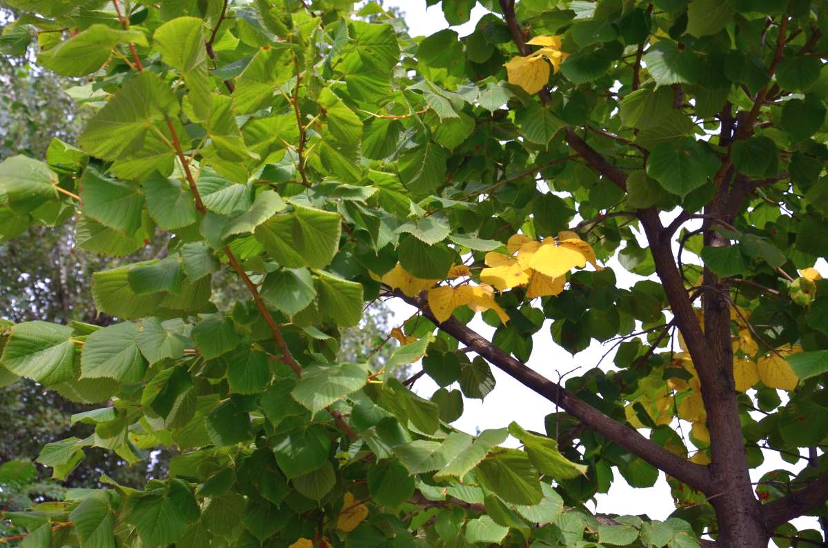 ������ ����� ����� ����  �� PhotoGeek.ru #������ ��� ������� #����� �������������� #���������