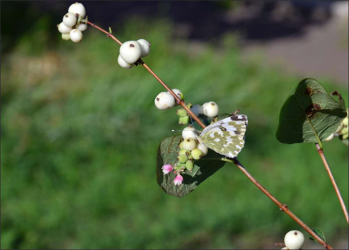 ... ����� ����  �� PhotoGeek.ru #������ ��� ������� #���������