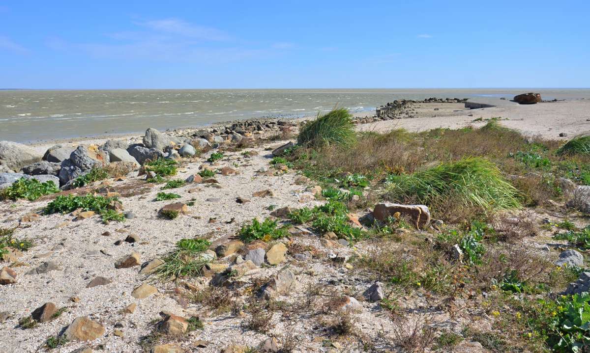 ������� ����� ����  �� PhotoGeek.ru #������ ��� �������