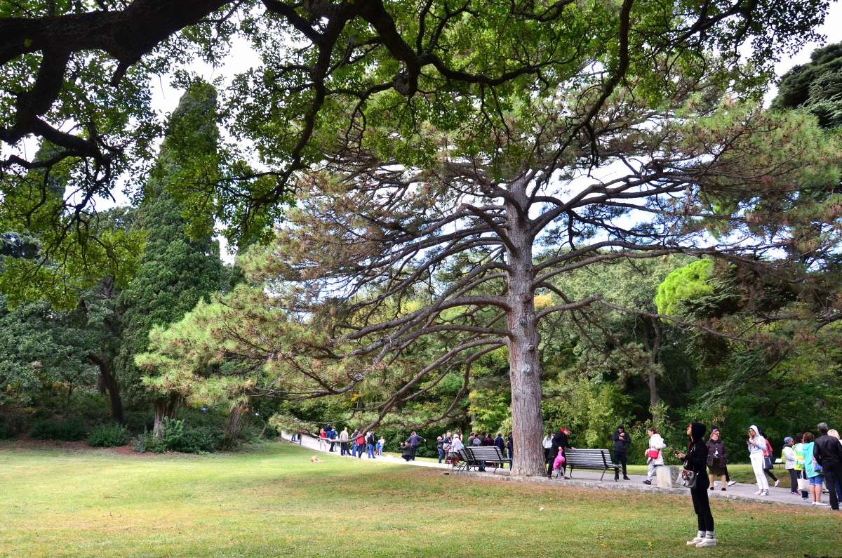 � ������ ����� ����� ����  �� PhotoGeek.ru #������ ��� �������