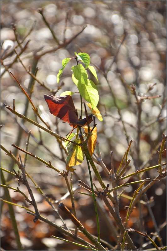 ������� ������ ����� ����  �� PhotoGeek.ru #������ ��� ������� #����� �������������� #���������