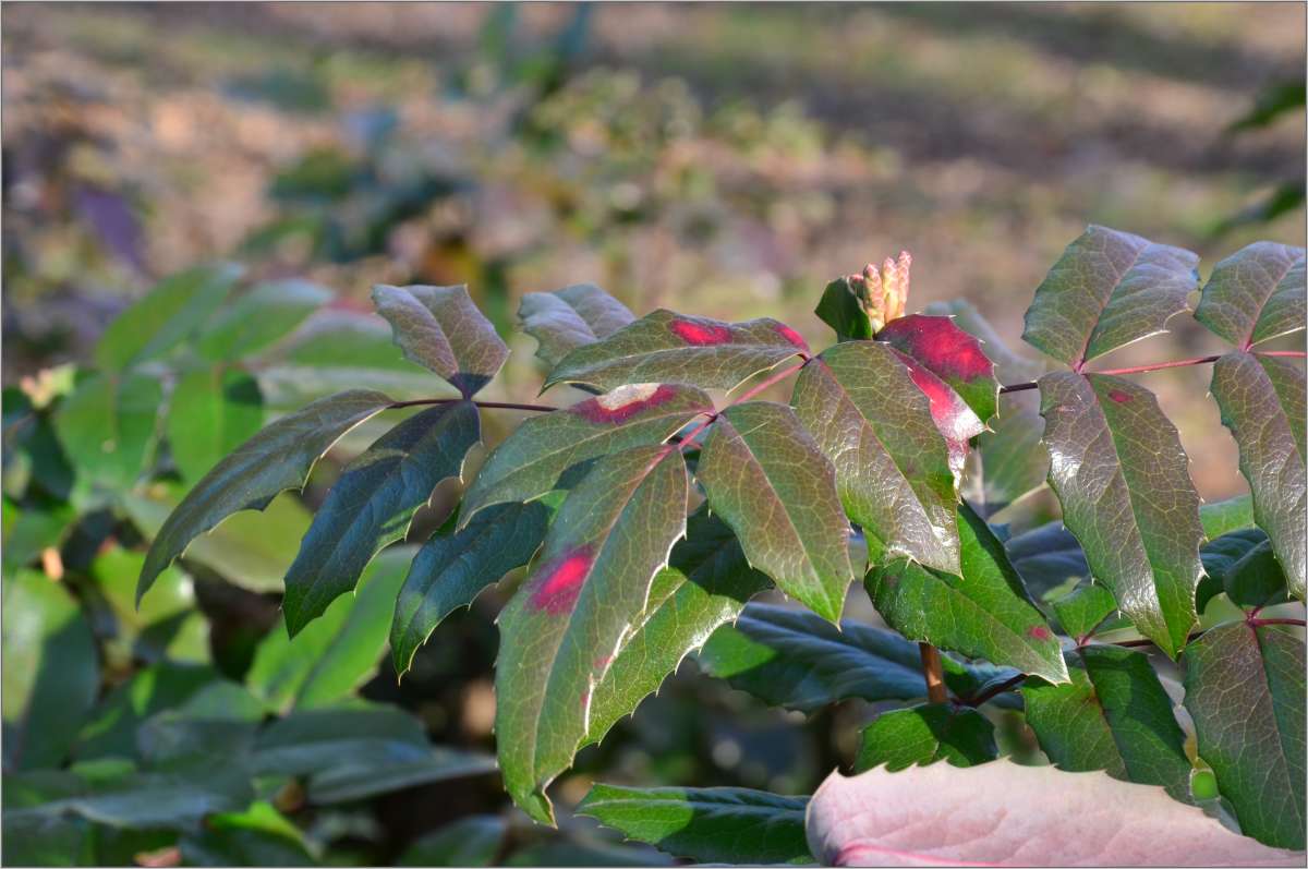 ... ����� ����  �� PhotoGeek.ru #������ ��� ������� #���������