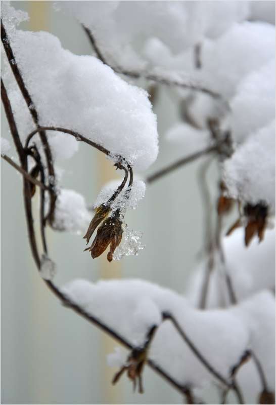 ... автор ПЕТР  на PhotoGeek.ru #Пейзаж или природа #Зарисовки #Зима