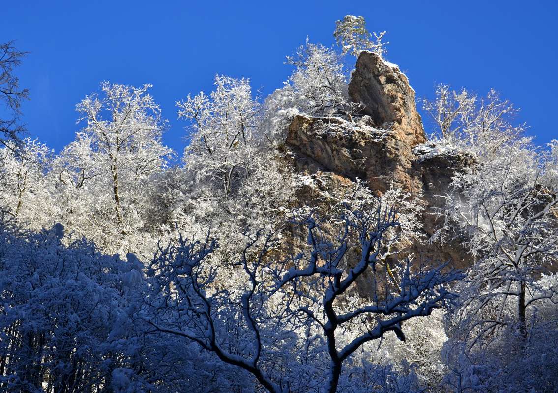 каменные чудища автор ПЕТР  на PhotoGeek.ru #Пейзаж или природа #Зарисовки #Зима