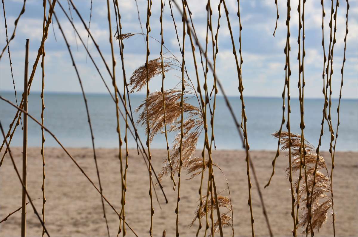 � ������ ��� ����� ����  �� PhotoGeek.ru #������ ��� ������� #���������