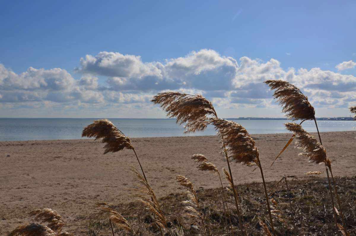 ���� ���������� ������ ����� ����  �� PhotoGeek.ru #������ ��� ������� #���������