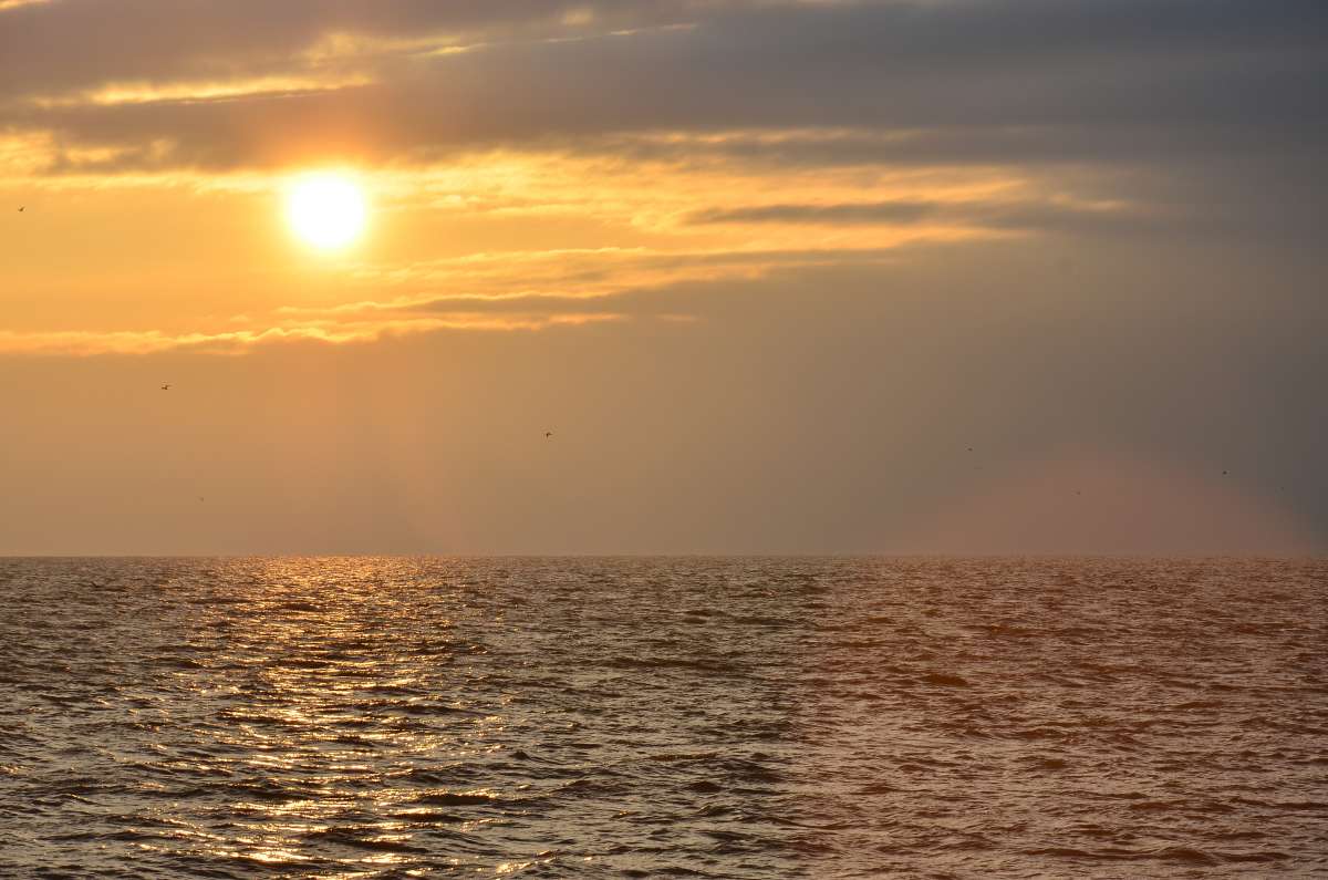 ... ����� ����  �� PhotoGeek.ru #������ ��� �������