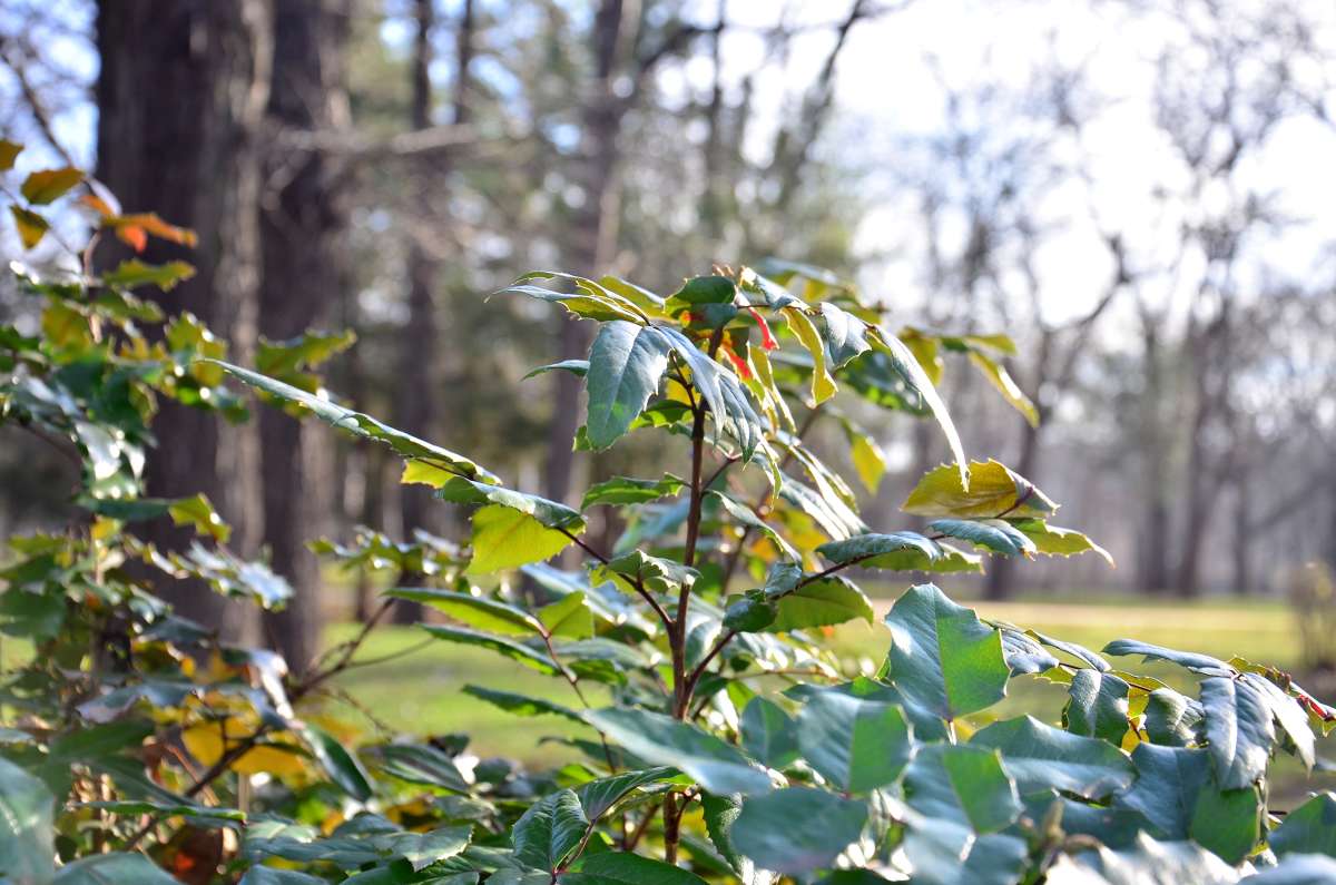 � ����� ����� ����  �� PhotoGeek.ru #������ ��� ������� #����� �������������� #���������