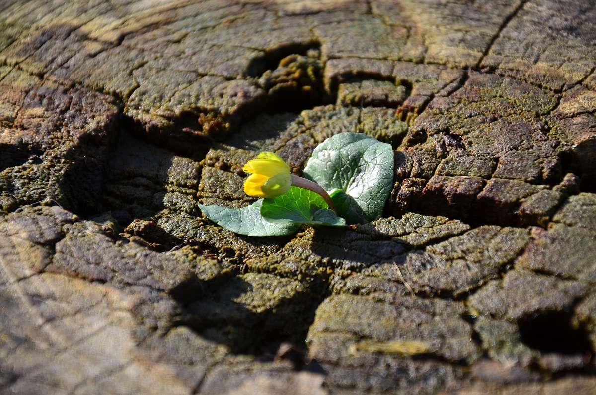 �������� ���� ����� ����  �� PhotoGeek.ru #������ ��� ������� #����� �������������� #���������