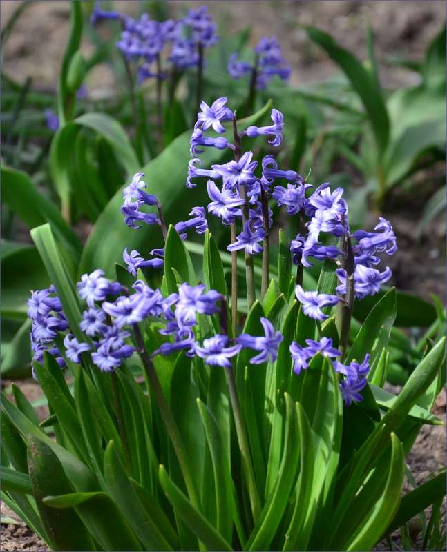 � ����������!!! ����� ����  �� PhotoGeek.ru #������ ��� ������� #����� �������������� #���������