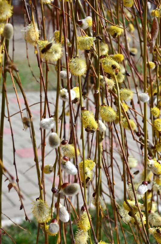 ��� ���� � 2020 ���� ����� ����  �� PhotoGeek.ru #�������� ��� #������ ��� ������� #���������