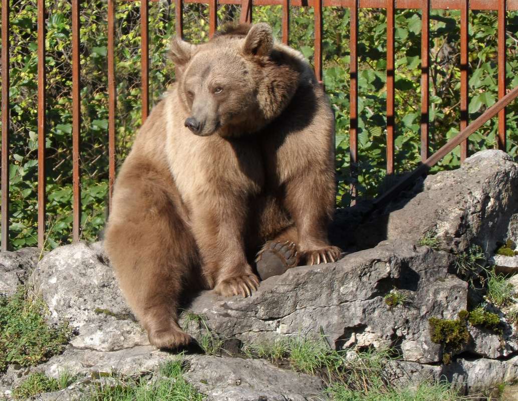 ��������� ���� ����� ����  �� PhotoGeek.ru #�������� ��� #����� ��� ��� ���������