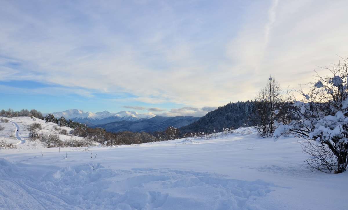 ���� � ����� ������� ����� ����  �� PhotoGeek.ru #������ ��� �������